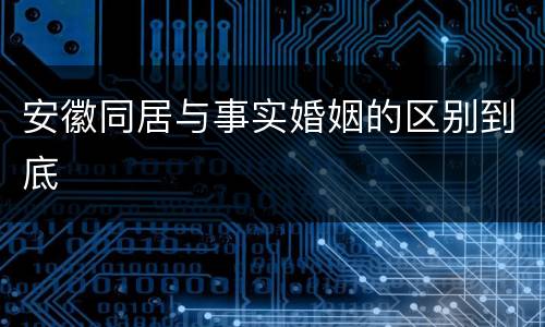 安徽同居与事实婚姻的区别到底