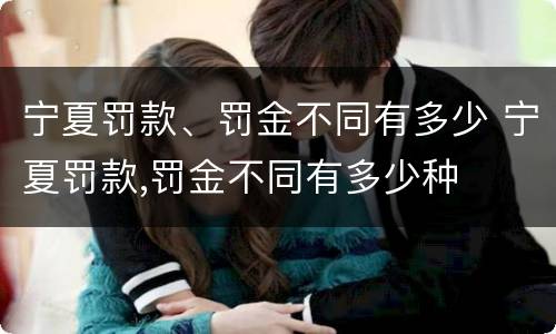 宁夏罚款、罚金不同有多少 宁夏罚款,罚金不同有多少种
