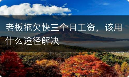 老板拖欠快三个月工资，该用什么途径解决