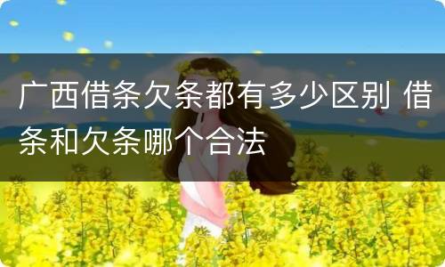 广西借条欠条都有多少区别 借条和欠条哪个合法