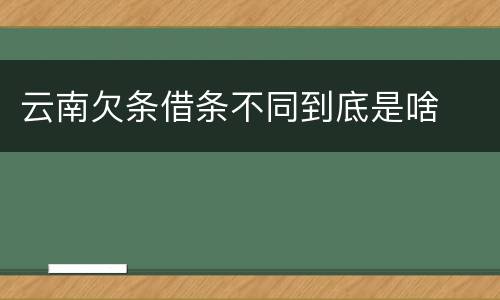 云南欠条借条不同到底是啥