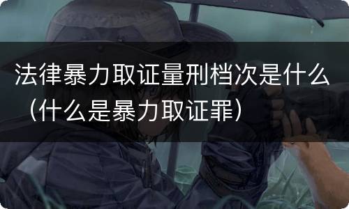 法律暴力取证量刑档次是什么（什么是暴力取证罪）