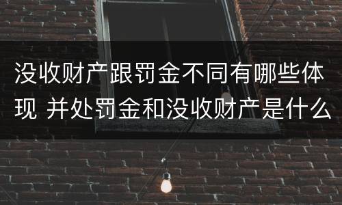 没收财产跟罚金不同有哪些体现 并处罚金和没收财产是什么意思