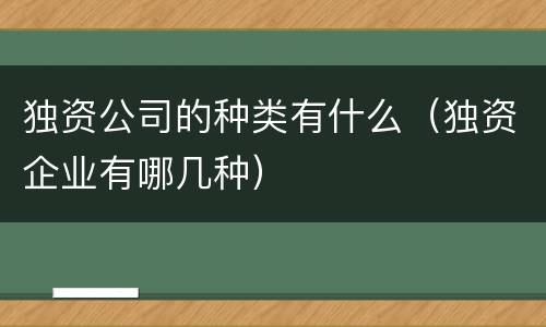 独资公司的种类有什么（独资企业有哪几种）