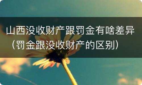 山西没收财产跟罚金有啥差异（罚金跟没收财产的区别）