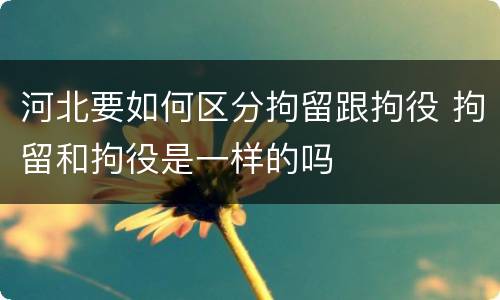 河北要如何区分拘留跟拘役 拘留和拘役是一样的吗