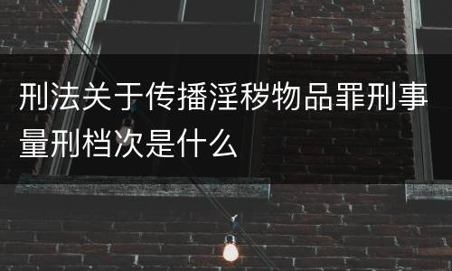 刑法关于传播淫秽物品罪刑事量刑档次是什么