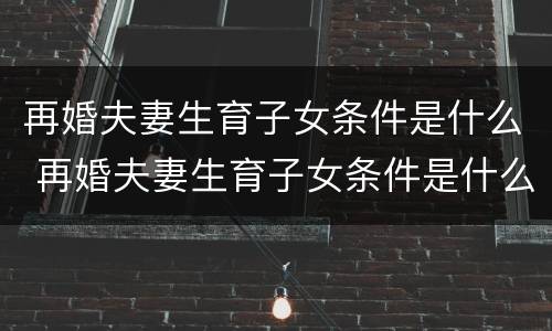 再婚夫妻生育子女条件是什么 再婚夫妻生育子女条件是什么呢