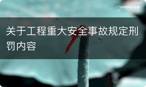 关于工程重大安全事故规定刑罚内容