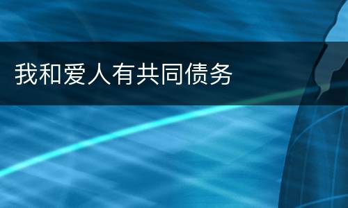 我和爱人有共同债务