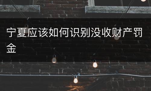 宁夏应该如何识别没收财产罚金
