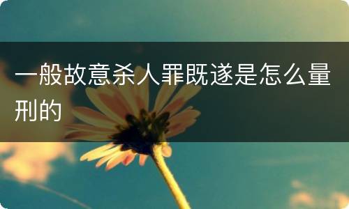 一般故意杀人罪既遂是怎么量刑的