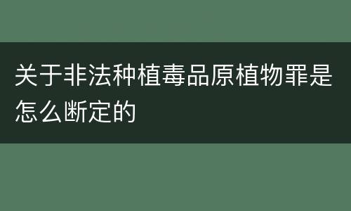 关于非法种植毒品原植物罪是怎么断定的