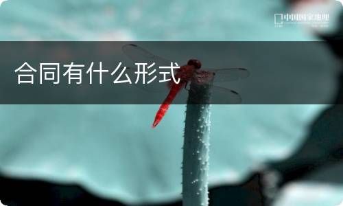 合同有什么形式