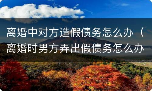 离婚中对方造假债务怎么办（离婚时男方弄出假债务怎么办）