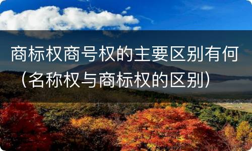 商标权商号权的主要区别有何（名称权与商标权的区别）
