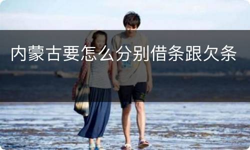内蒙古要怎么分别借条跟欠条