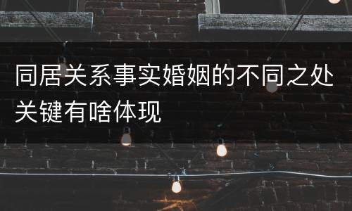 同居关系事实婚姻的不同之处关键有啥体现