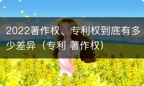 2022著作权、专利权到底有多少差异（专利 著作权）