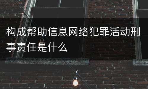 构成帮助信息网络犯罪活动刑事责任是什么