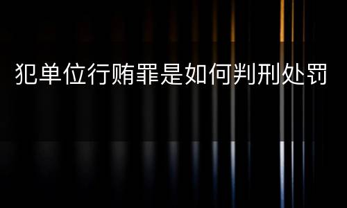 犯单位行贿罪是如何判刑处罚
