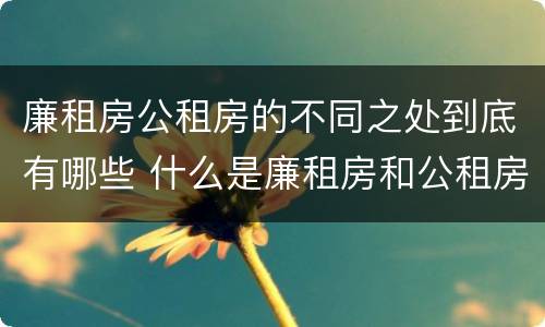廉租房公租房的不同之处到底有哪些 什么是廉租房和公租房两个有什么特点