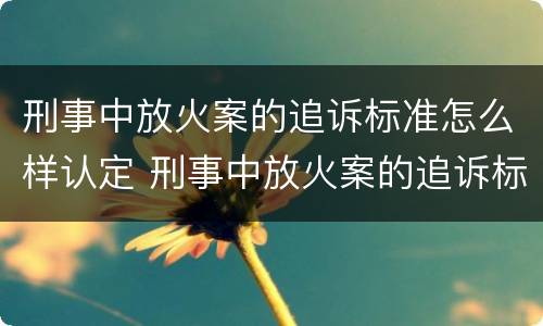 刑事中放火案的追诉标准怎么样认定 刑事中放火案的追诉标准怎么样认定