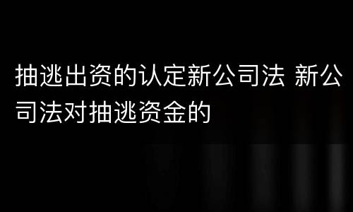 抽逃出资的认定新公司法 新公司法对抽逃资金的