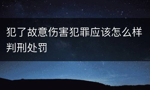 犯了故意伤害犯罪应该怎么样判刑处罚
