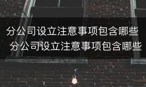 分公司设立注意事项包含哪些 分公司设立注意事项包含哪些内容