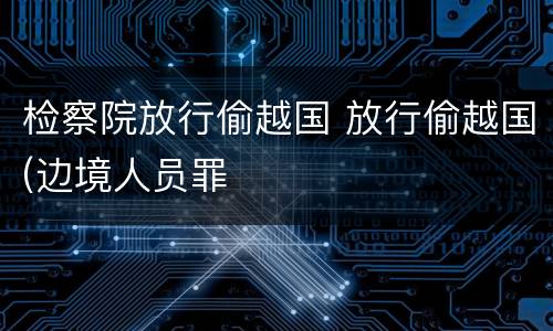 检察院放行偷越国 放行偷越国(边境人员罪
