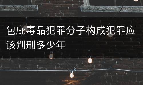 包庇毒品犯罪分子构成犯罪应该判刑多少年
