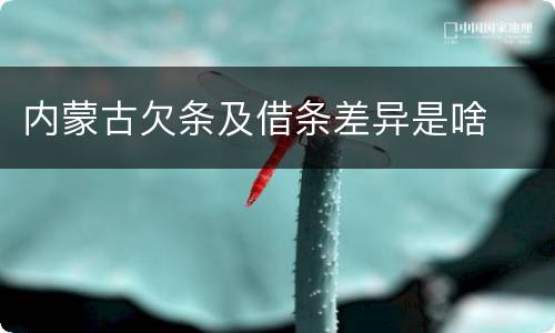 内蒙古欠条及借条差异是啥