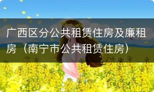 广西区分公共租赁住房及廉租房（南宁市公共租赁住房）