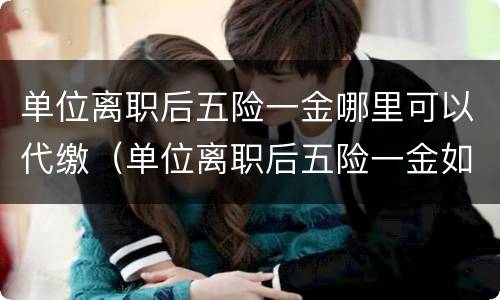 单位离职后五险一金哪里可以代缴（单位离职后五险一金如何自己缴纳）