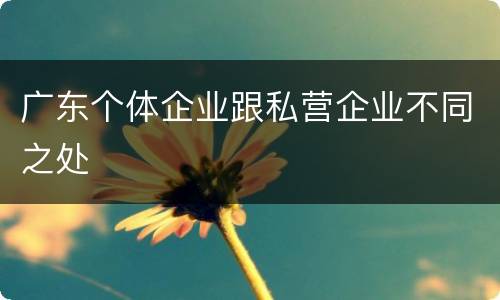 广东个体企业跟私营企业不同之处