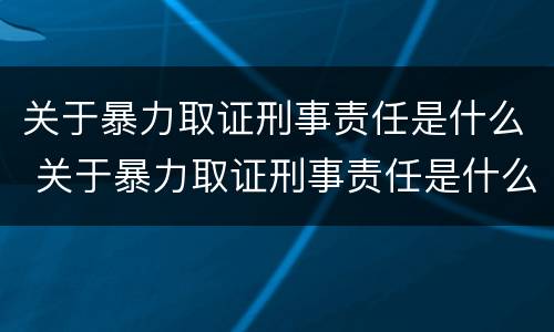 关于暴力取证刑事责任是什么 关于暴力取证刑事责任是什么案件