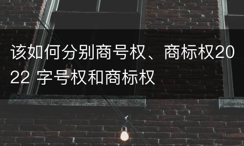 该如何分别商号权、商标权2022 字号权和商标权