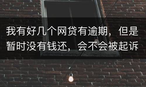 我有好几个网贷有逾期，但是暂时没有钱还，会不会被起诉抓人啊