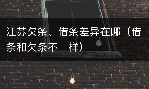 江苏欠条、借条差异在哪（借条和欠条不一样）
