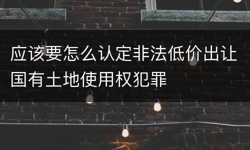 应该要怎么认定非法低价出让国有土地使用权犯罪