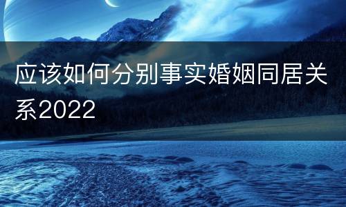 应该如何分别事实婚姻同居关系2022