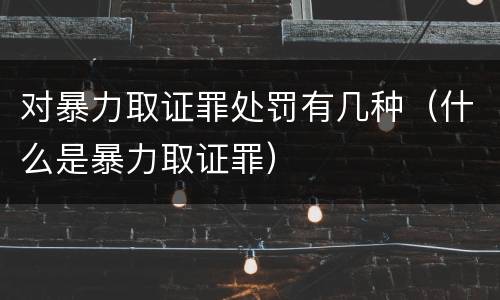 对暴力取证罪处罚有几种（什么是暴力取证罪）