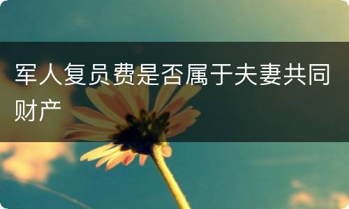 军人复员费是否属于夫妻共同财产