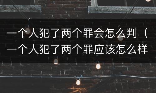 一个人犯了两个罪会怎么判（一个人犯了两个罪应该怎么样定罪名）