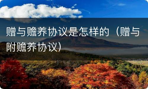 赠与赡养协议是怎样的（赠与附赡养协议）