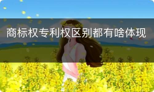 商标权专利权区别都有啥体现