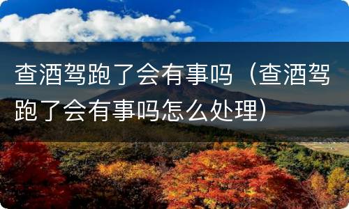 查酒驾跑了会有事吗（查酒驾跑了会有事吗怎么处理）