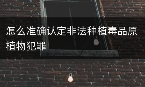 怎么准确认定非法种植毒品原植物犯罪