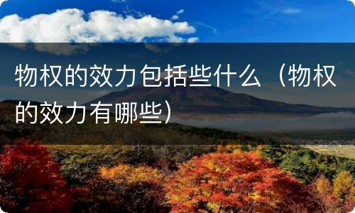 物权的效力包括些什么（物权的效力有哪些）